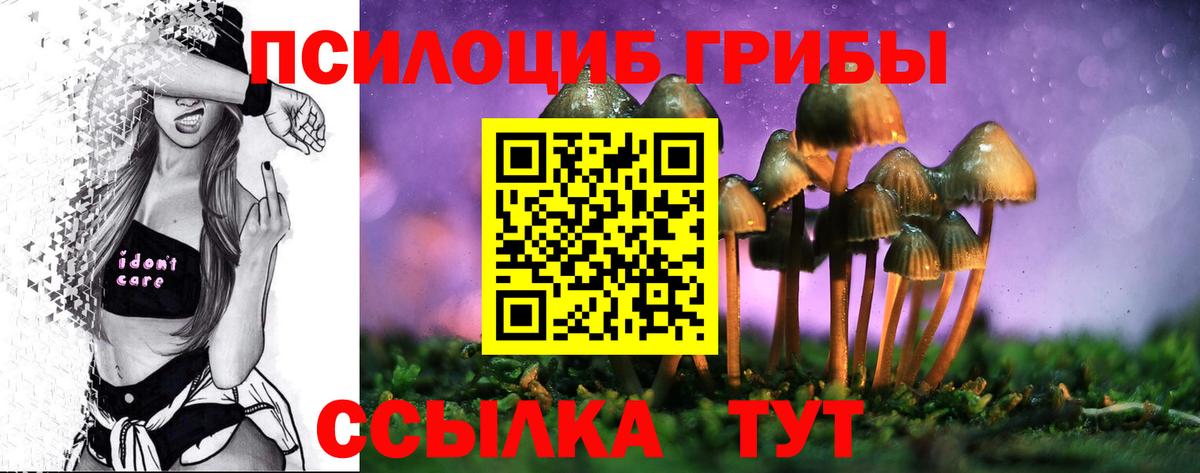 Псилоцибиновые грибы Psilocybine cubensis  Вход с VPN  Салехард 